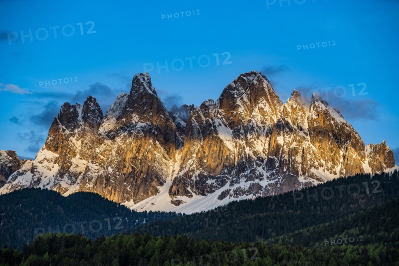 Forest by mountain peaks in Dolomites, Italy