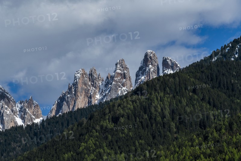 Forest by mountain peaks in Dolomites, Italy