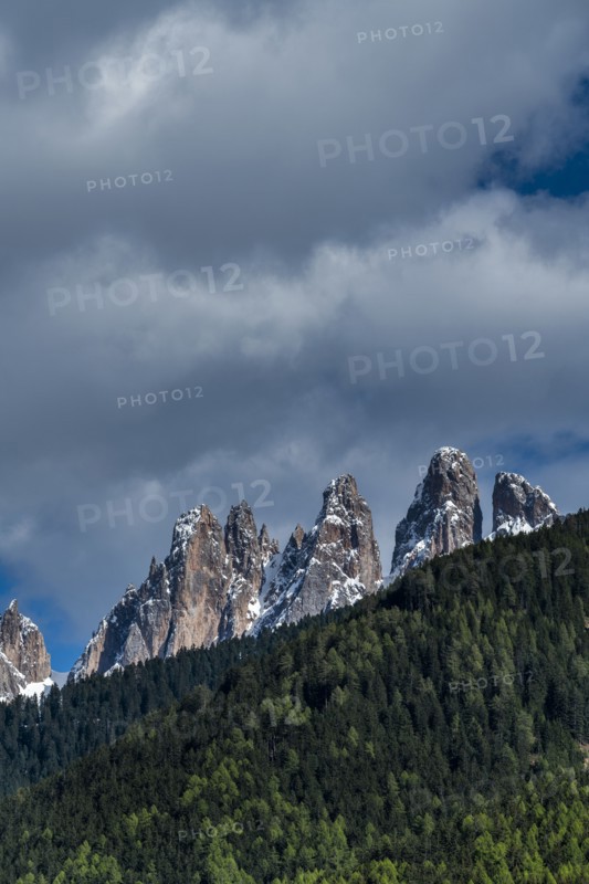 Forest by mountain peaks in Dolomites, Italy