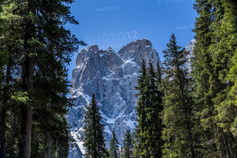 Trees in front of mountain peak in Dolomites, Italy