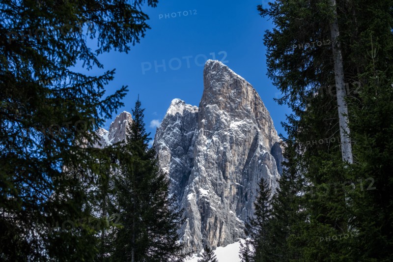 Trees in front of mountain peak in Dolomites, Italy