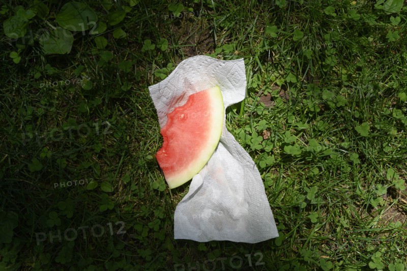 Slice of watermelon with napkin on grass