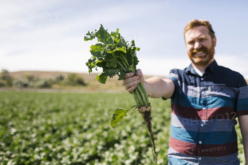 Smiling man holding vegetable crop in field