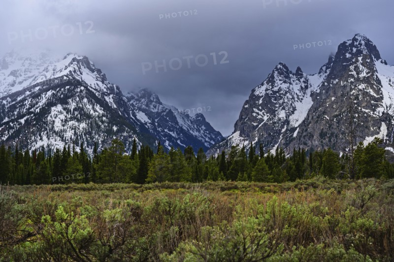 Snowcapped mountains by bush land in Grand Teton National Park