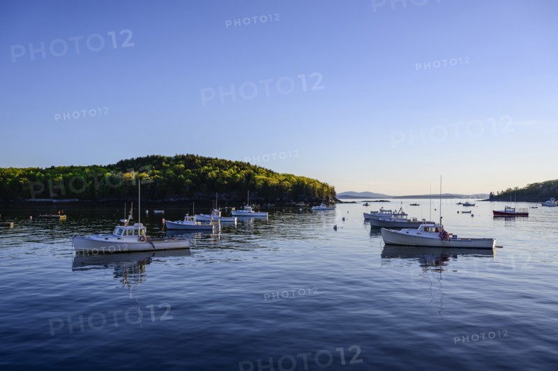 Fishing boats in Bar Harbor