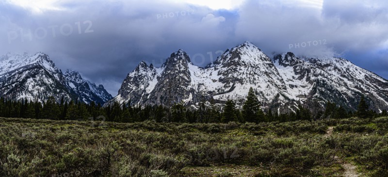 Snowcapped mountains by bush land in Grand Teton National Park