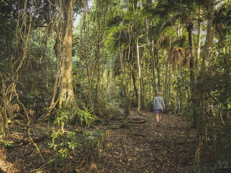 Woman walking in forest in Myall Lakes National Park