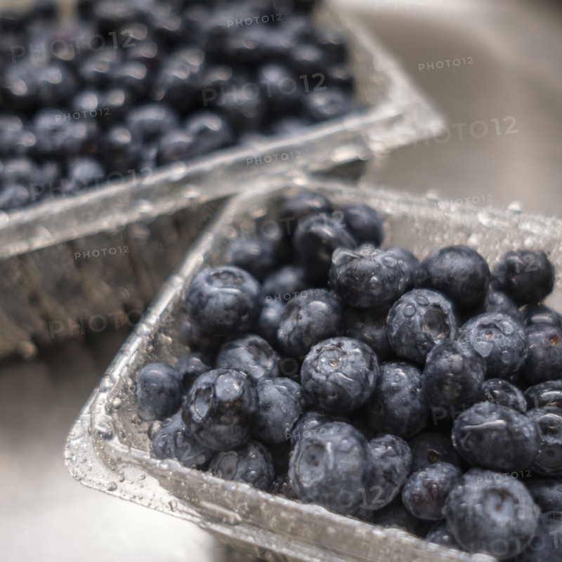 Wet blueberries in sink
