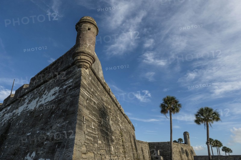 Palm trees by Castillo de San Marcos in St. Augustine