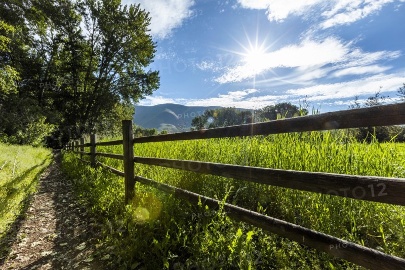 Wooden fence by green field