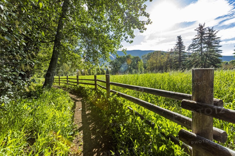 Wooden fence by green field