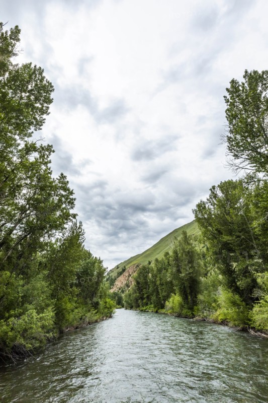 River through forest in Sun Valley