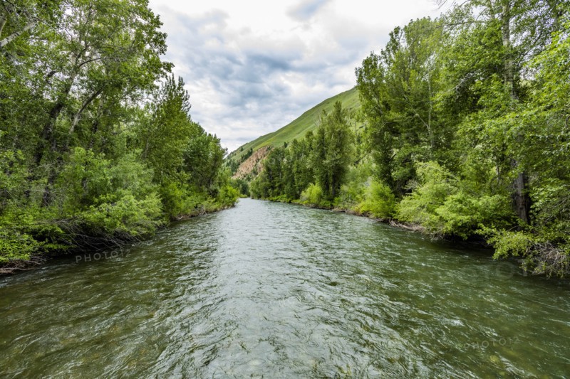 River through forest in Sun Valley