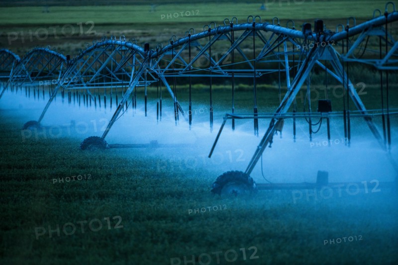 Irrigation system spraying crop field at sunset