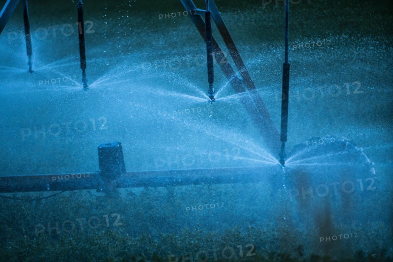 Irrigation system spraying crop field at sunset