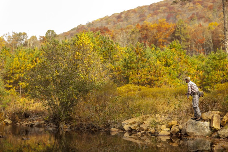 Man fly-fishing in river during autumn in Giles County