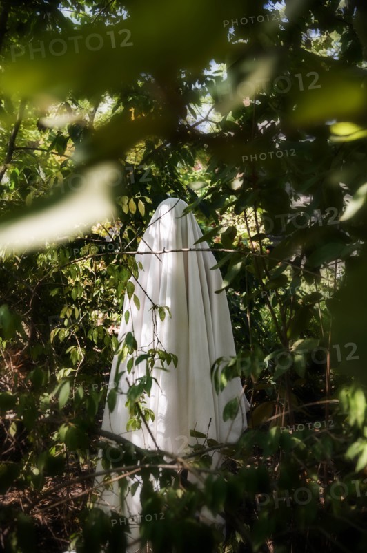 Ghost in forest