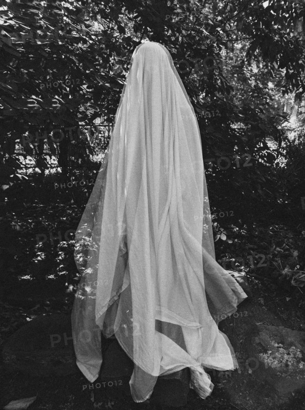 Ghost by trees