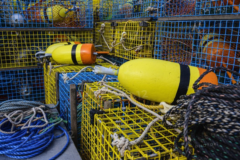 Buoys and lobster traps