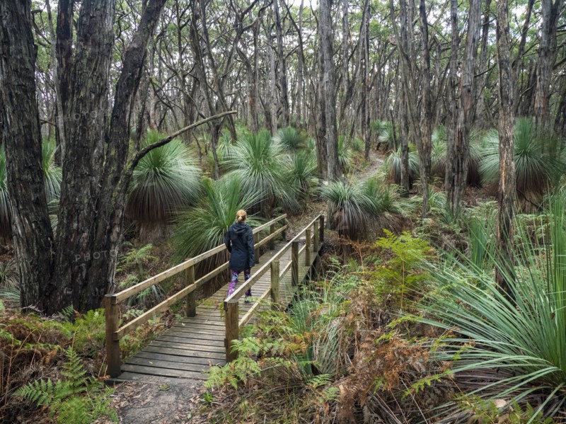 Woman walking on bridge in forest in South Australia, Australia