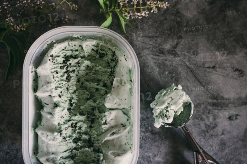 Mint chocolate ice cream with scoop