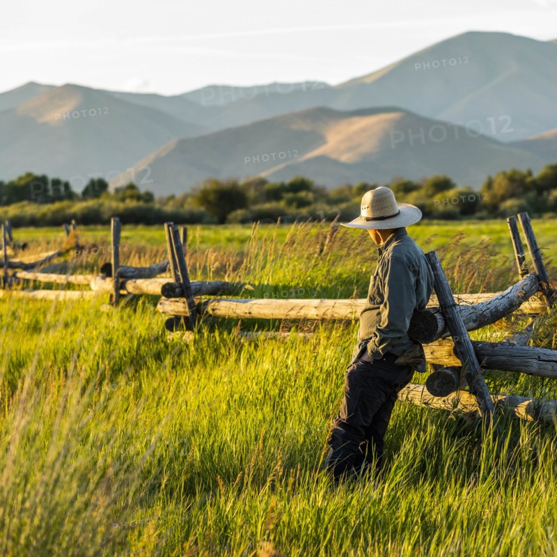 Farmer leaning on fence in Picabo, Idaho, USA