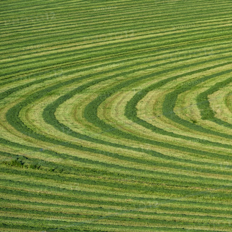 Field cut in curved shape in Picabo, Idaho, USA