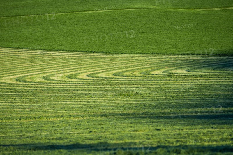 Field cut in curved shape in Picabo, Idaho, USA