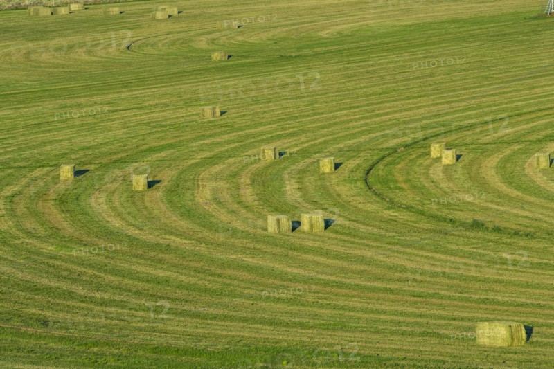 Hay bales in field in Picabo, Idaho, USA