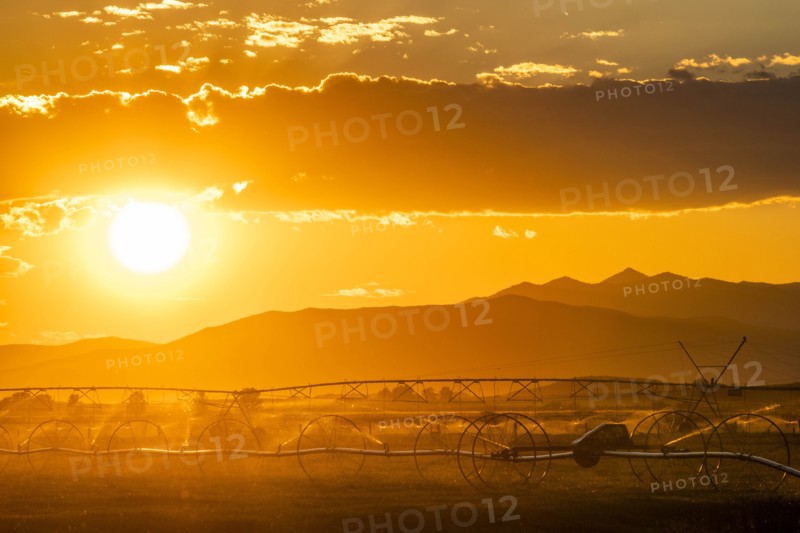 Irrigation in field at sunset in Picabo, Idaho, USA