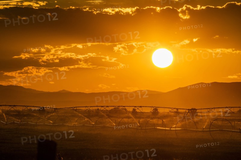 Irrigation in field at sunset in Picabo, Idaho, USA