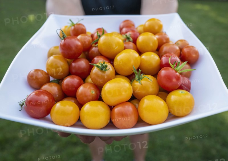 Woman holding plate of cherry tomatoes