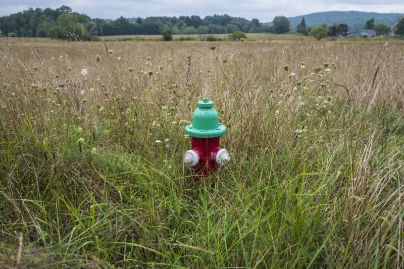 Fire hydrant in field in Dalton, Massachusetts, USA