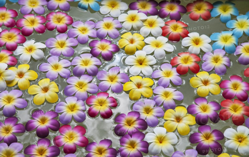 Flowers floating in wellness spa in Bangkok, Thailand