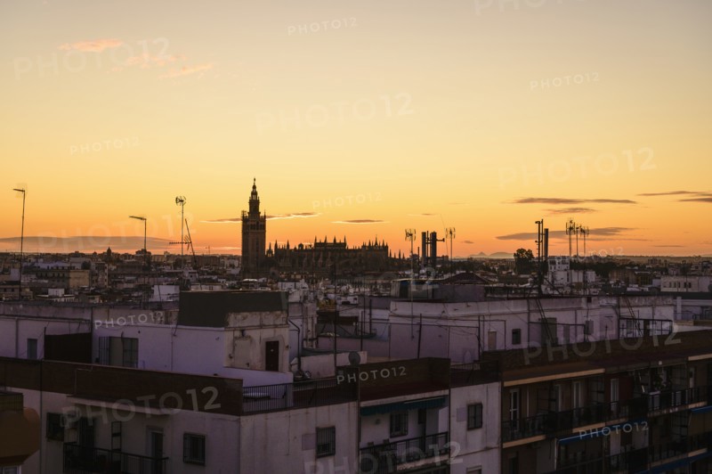 Cityscape with Giralda bell tower at sunset in Seville, Spain