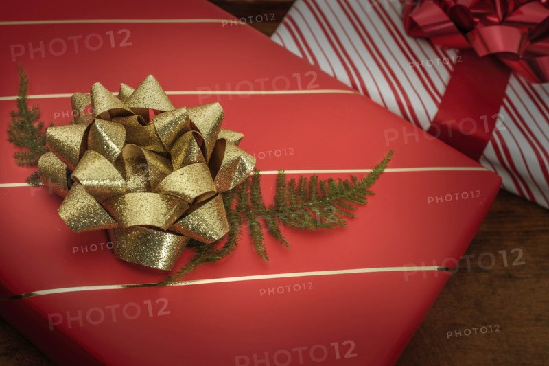 Pine frond under bow on Christmas present