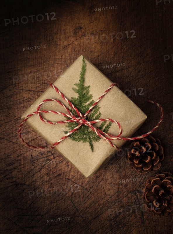 Pine frond tied to Christmas present