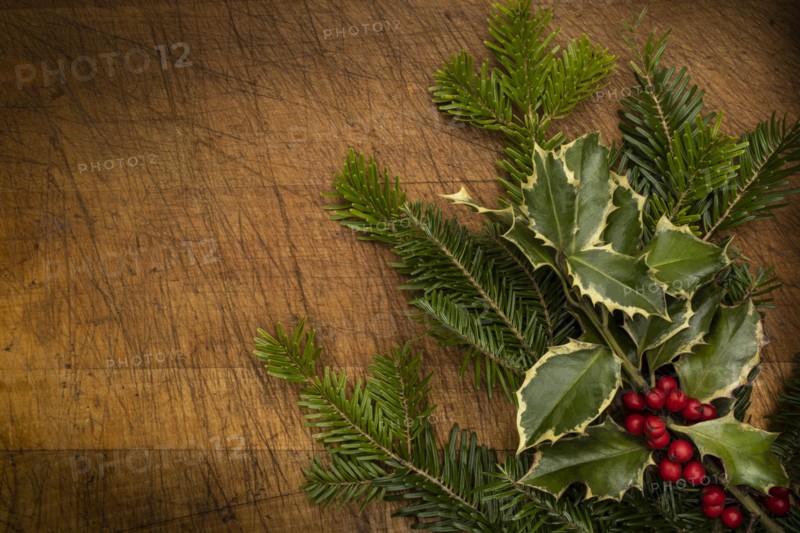 Mistletoe and pine fronds