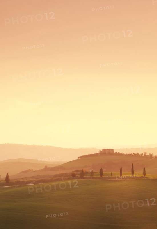 Trees on hills at sunset in Tuscany, Italy
