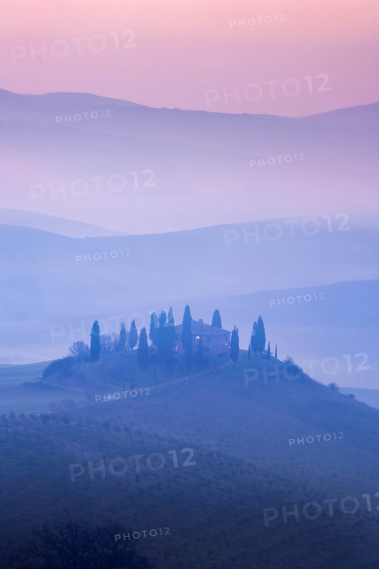 Trees on hills at sunset in Tuscany, Italy