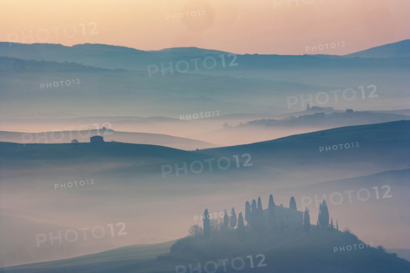 Trees on hills at sunset in Tuscany, Italy