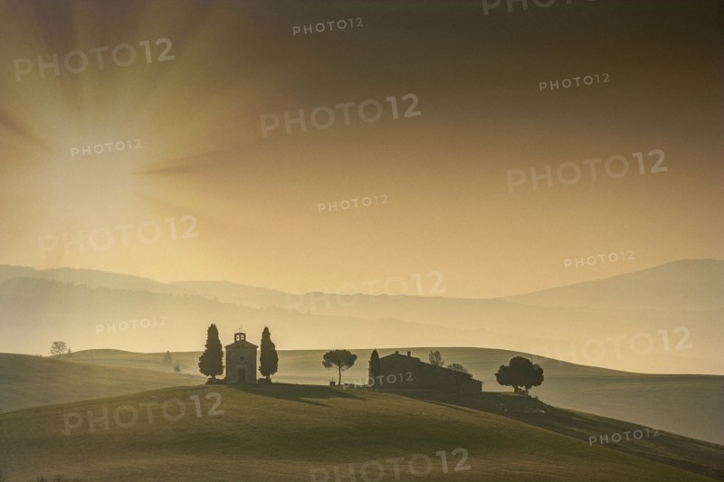 Trees and building on hill in Tuscany, Italy