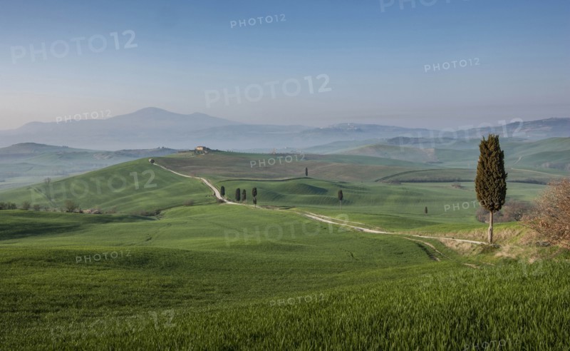 Road through hills in Tuscany, Italy