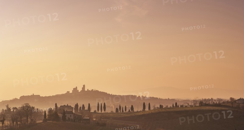 Trees on hills at sunset in Tuscany, Italy