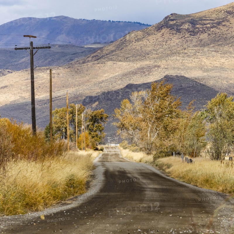 Country road by trees and mountains