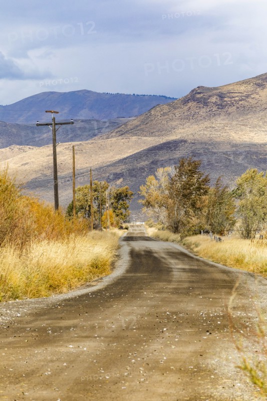 Country road by trees and mountains