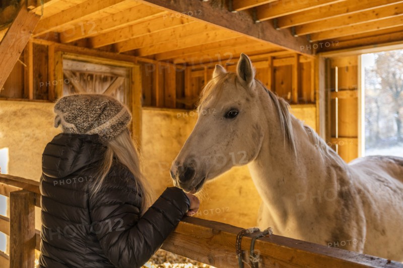 Woman and horse in stable
