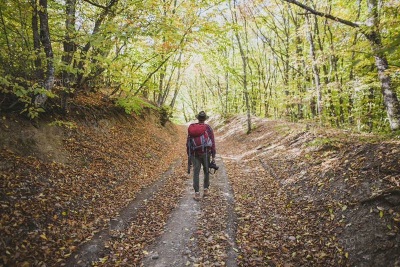 Man hiking in forest