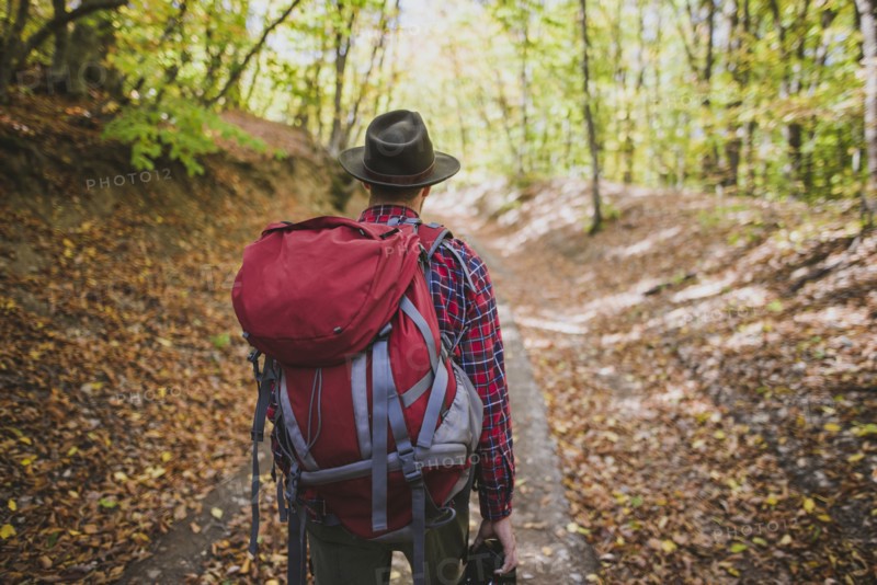 Man hiking in forest