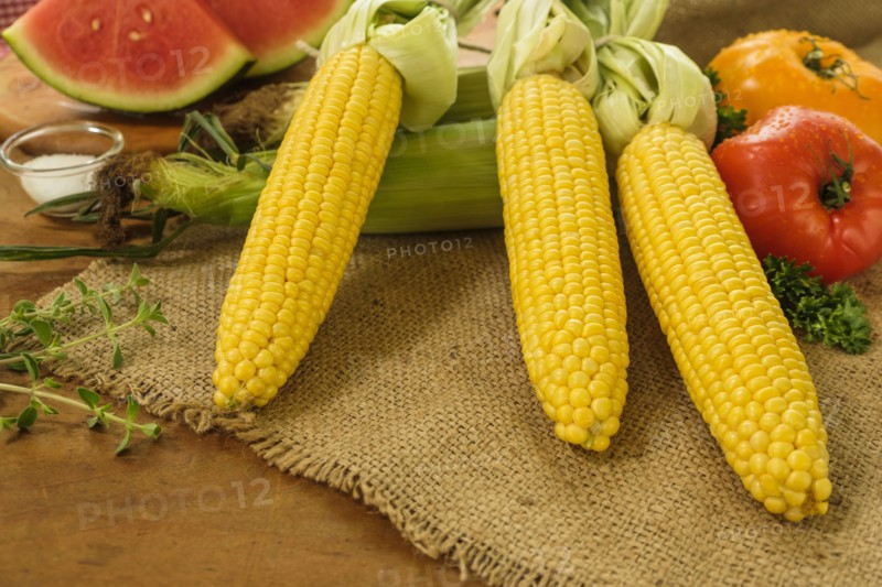 Fresh corn cobs